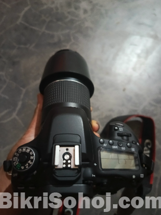 Canon 80d